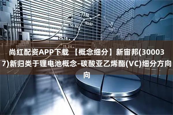 尚红配资APP下载 【概念细分】新宙邦(300037)新归类于锂电池概念-碳酸亚乙烯酯(VC)细分方向