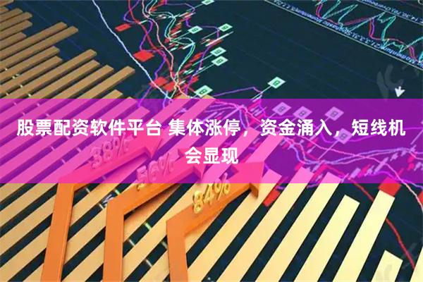 股票配资软件平台 集体涨停,资金涌入,短线机会显现
