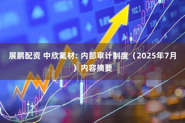 展鹏配资 中欣氟材: 内部审计制度（2025年7月）内容摘要