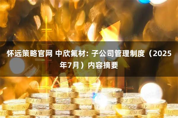 怀远策略官网 中欣氟材: 子公司管理制度（2025年7月）内容摘要